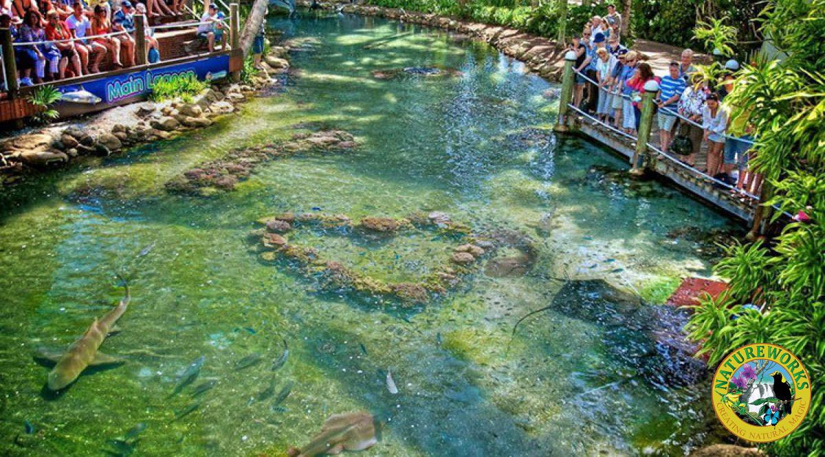 Natureworks Builds artificial Coral Reef Daydream Island V
