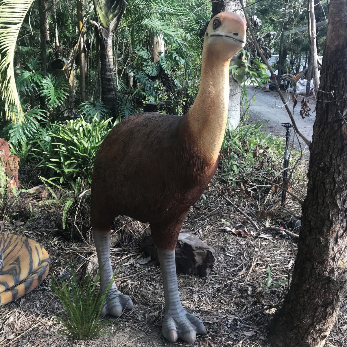 Natureworks Australia Bullockornis - Megafauna statue - 160216 for sale from Natureworks Australia