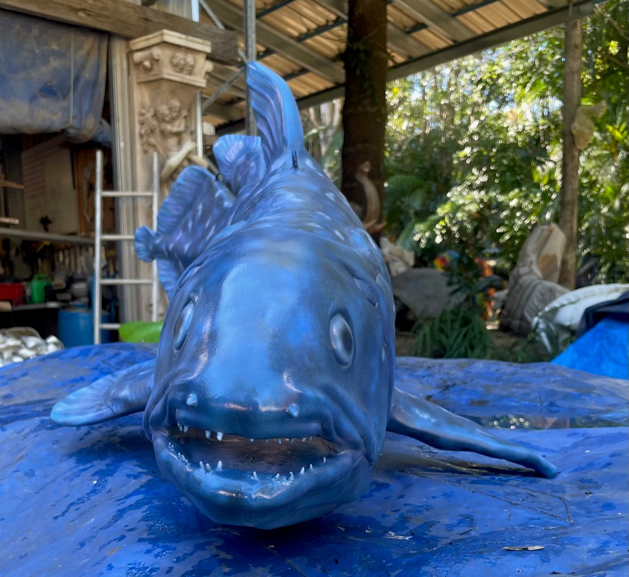 Natureworks Australia Coelacanth photo - by Natureworks Sculpture Artists - Front angle View