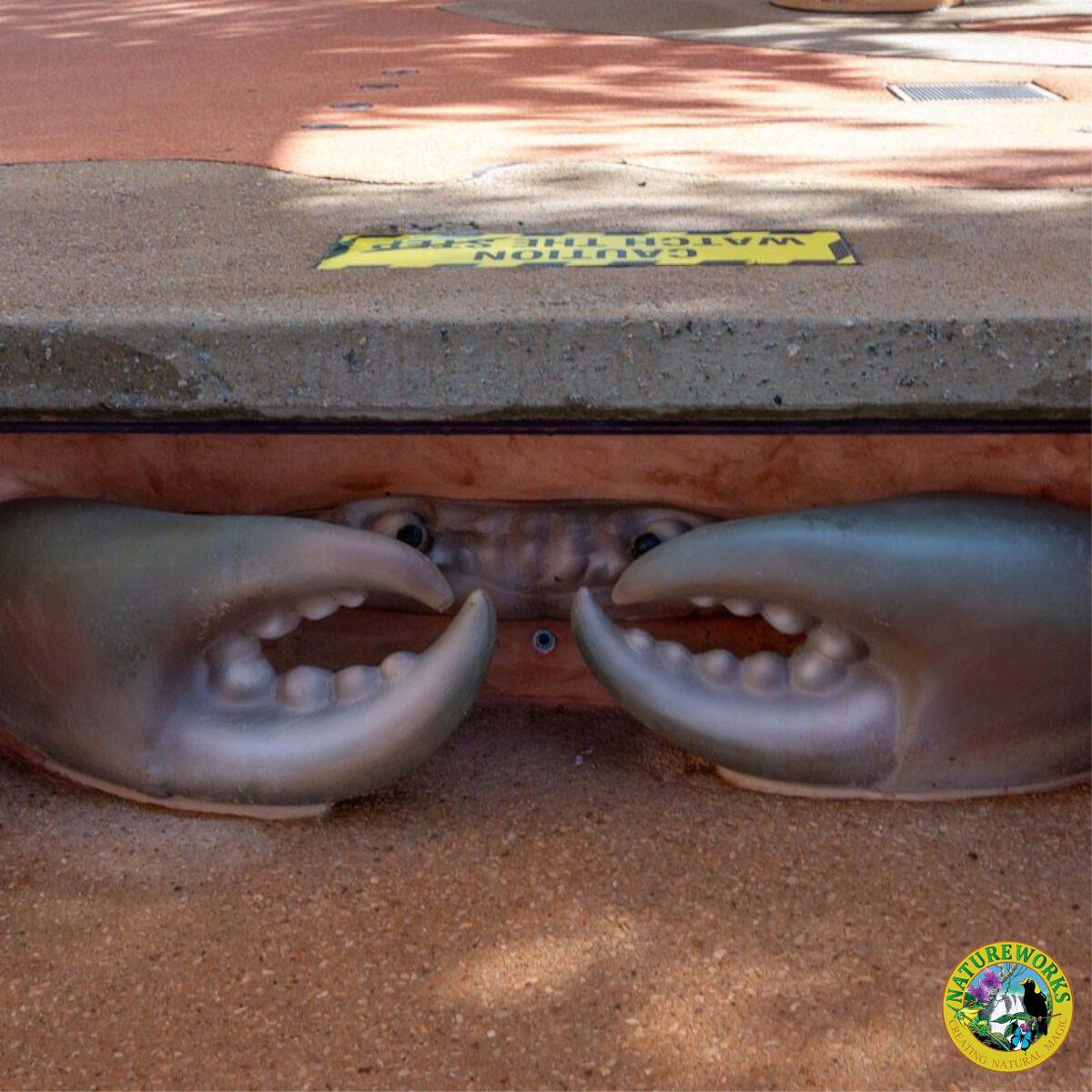 Natureworks Australia Crab 6ft - 100013 - Shown in Broom splash park - close up of nippers