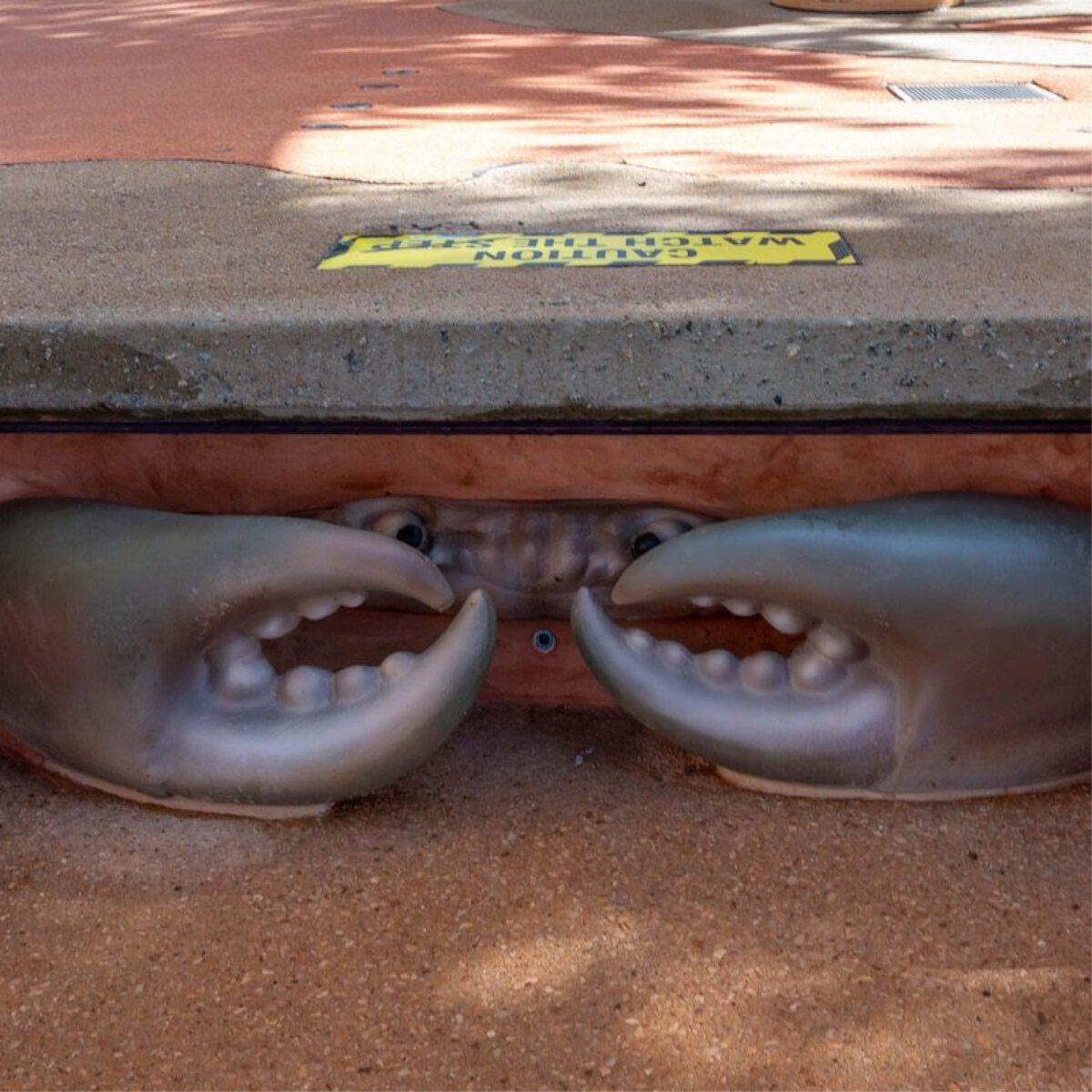 Natureworks Australia Crab 6ft - 100013 - Shown in Broom splash park - close up of nippers