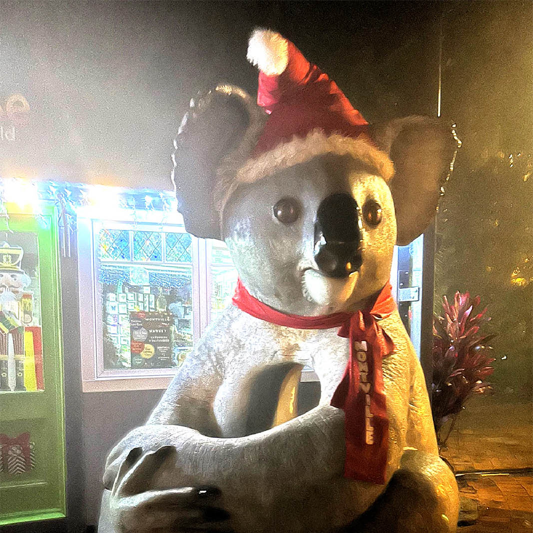 Natureworks Australia Cuddle the Koala - Shown with a Christmas hat - customer photo Montville Queensland Australia