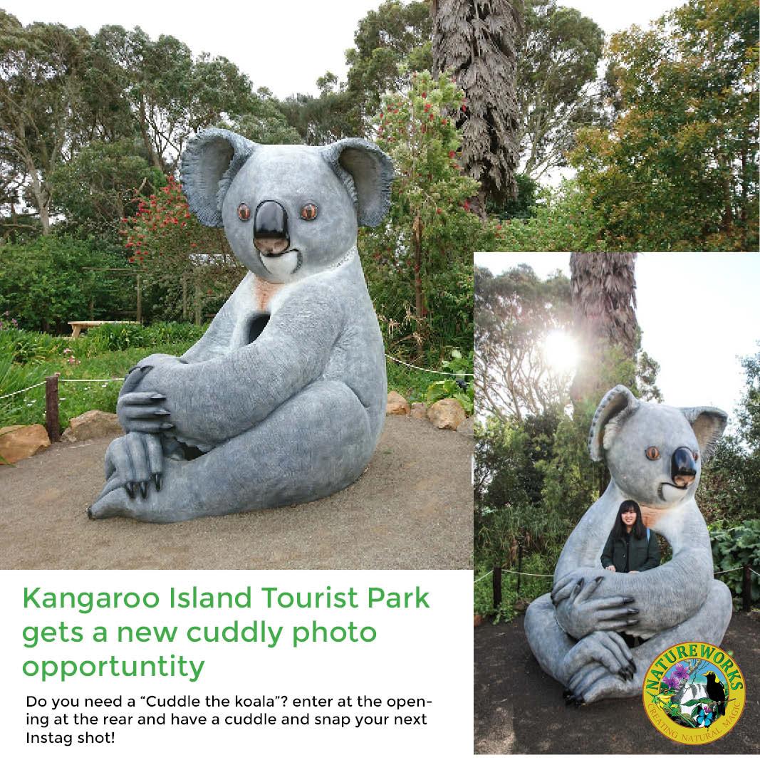Natureworks Australia Natureworks Cuddles the Koala - 150023 customer photo - Kangaroo island tourist park