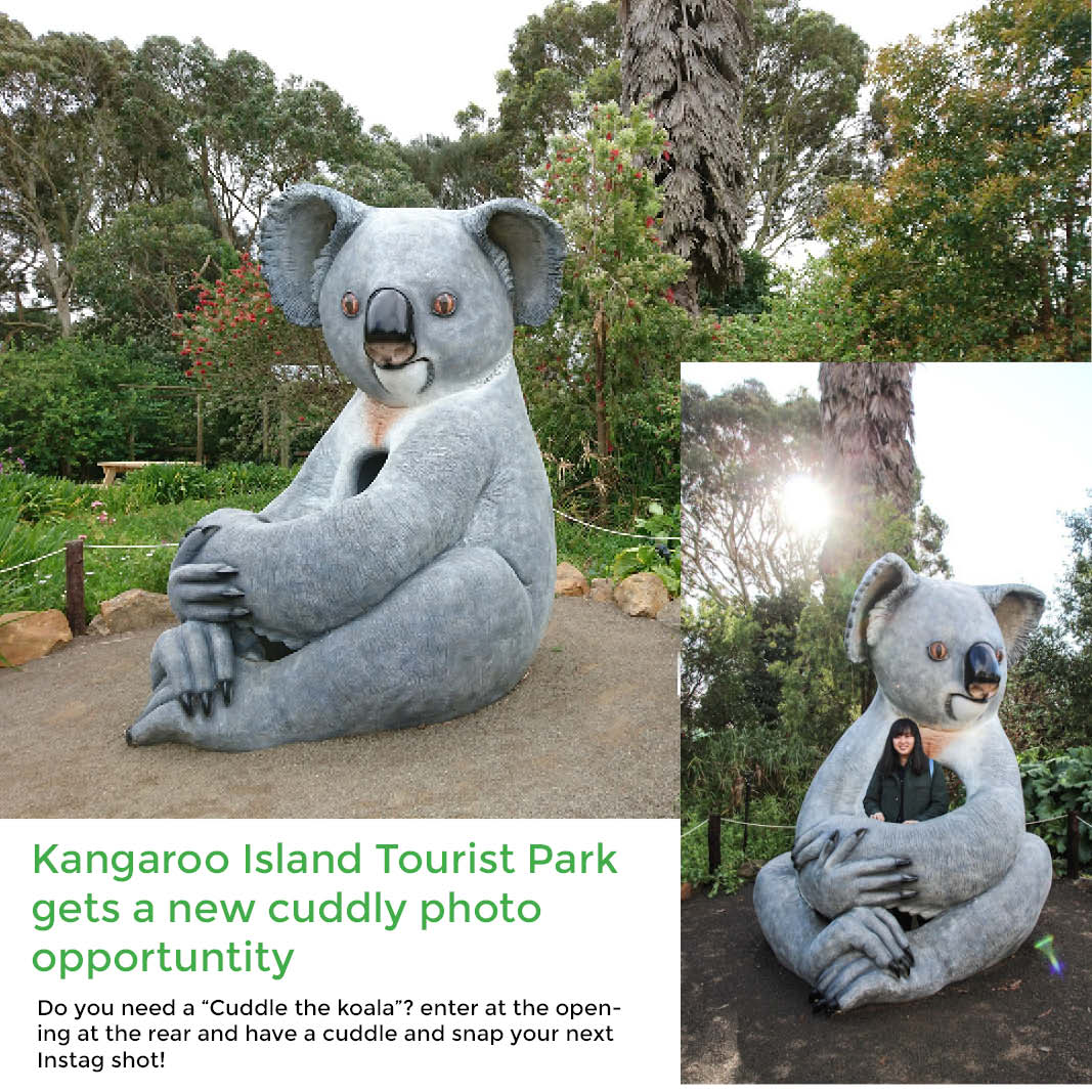 Natureworks Australia Natureworks Cuddles the Koala - 150023 customer photo - Kangaroo island tourist park