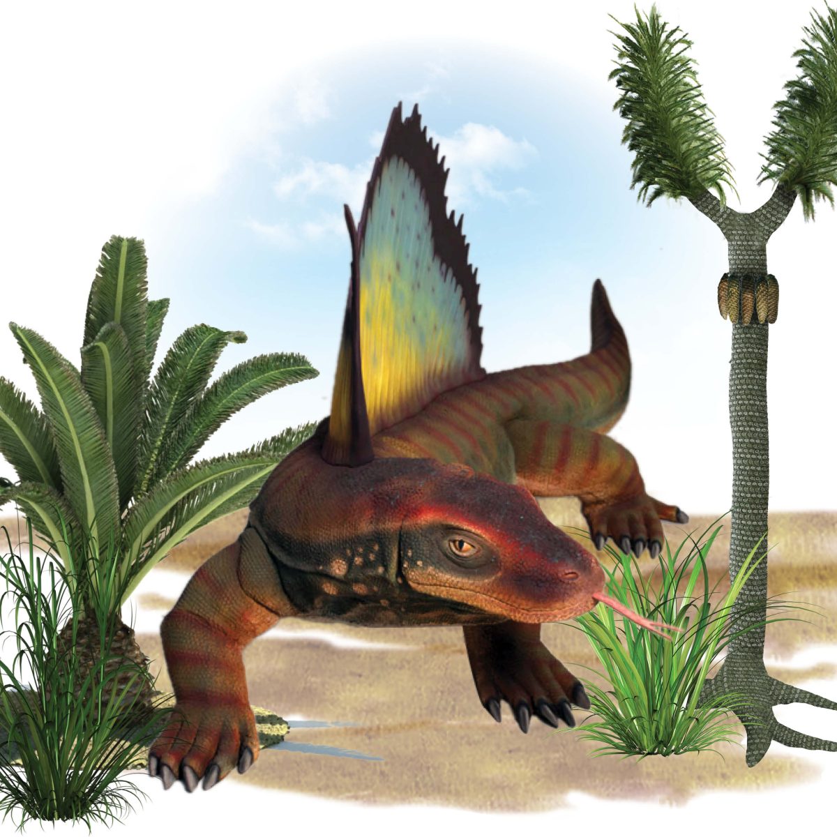 Natureworks Australia Dimetrodon Dinosaur - Life-size sculpture replica - shown with prehistoric plants - front view