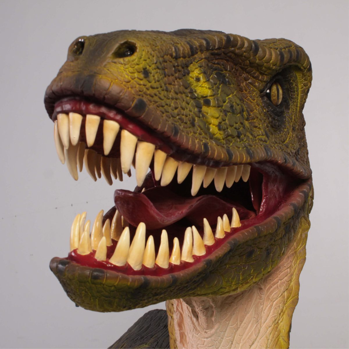 Natureworks Australia Dromosaurus Dinosaur Sculpture shown at Natureworks Studio - Brisbane - 110115 - Close up of Head and showing fierce teeth