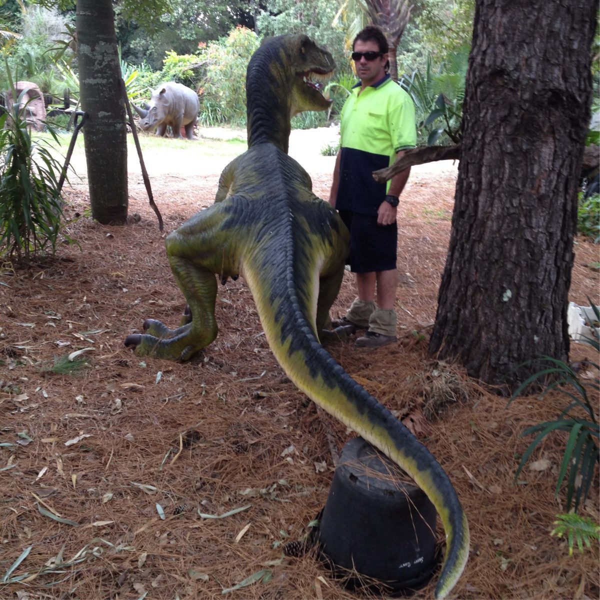 Natureworks Australia Dromosaurus Dinosaur Sculpture shown at Natureworks Studio - Brisbane - 110115 - Rear view