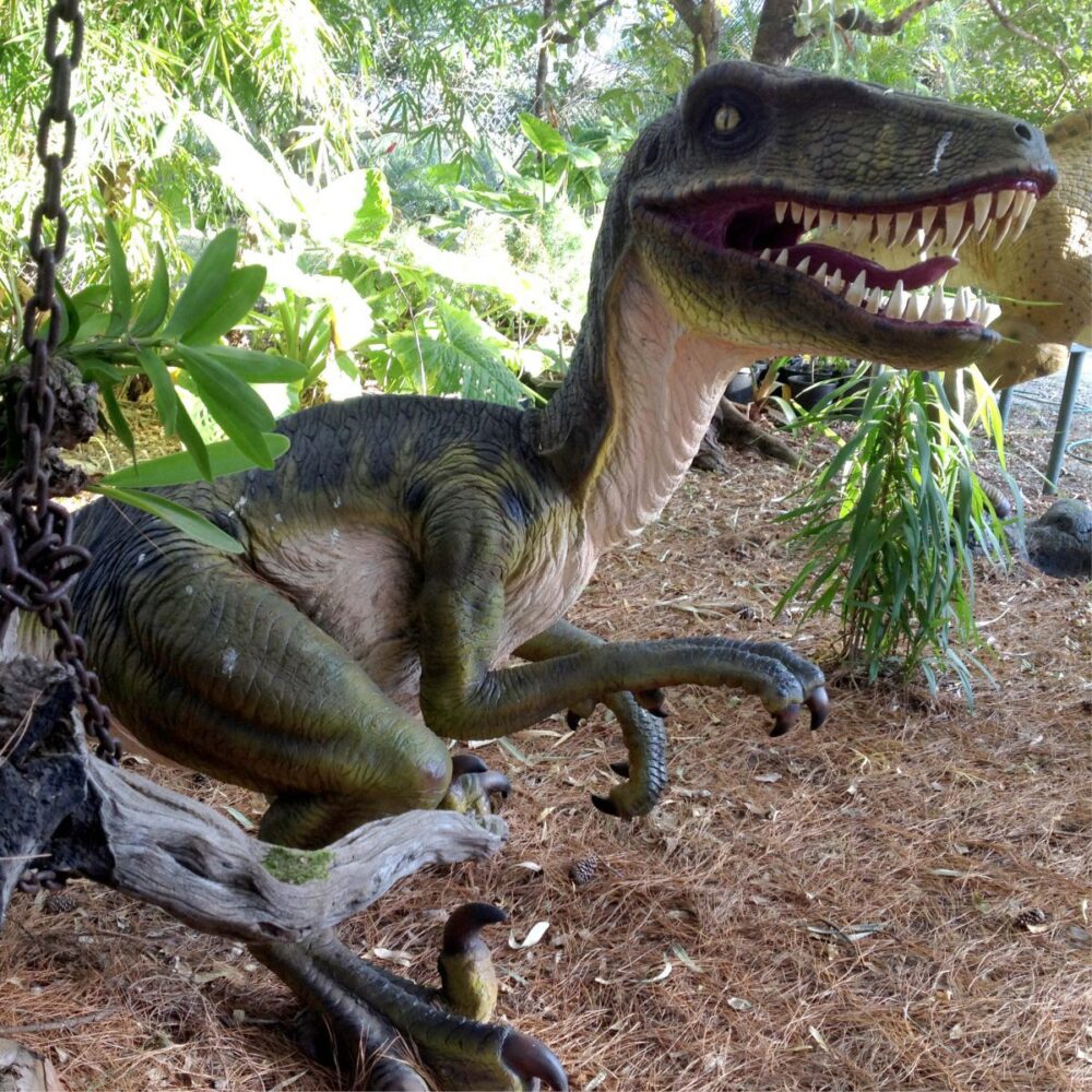 Dromosaurus Dinosaur Sculpture shown at Natureworks Studio - Brisbane - 110115 - Close up view