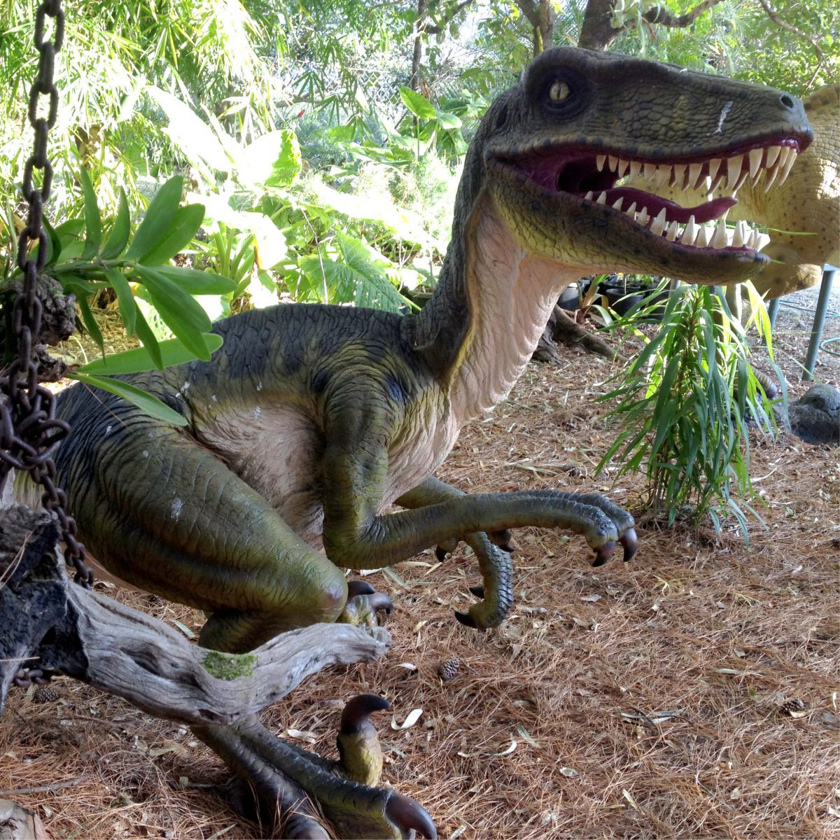 Natureworks Australia Dromosaurus Dinosaur Sculpture shown at Natureworks Studio - Brisbane - 110115 - Close up view
