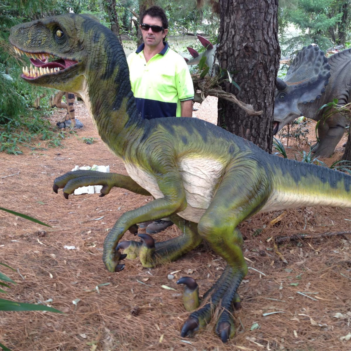 Natureworks Australia Dromosaurus Dinosaur Sculpture shown at Natureworks Studio - Brisbane - 110115 - side view