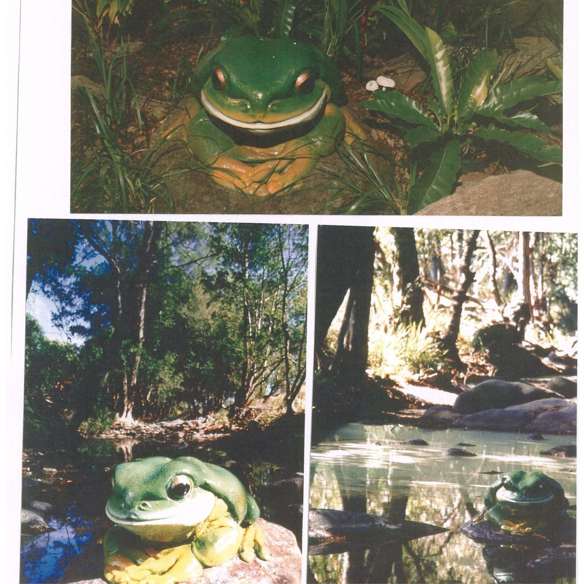 Natureworks Australia Green Tree Frog on Rock – Giant – 190012Rock - shown outside on rock in creek display