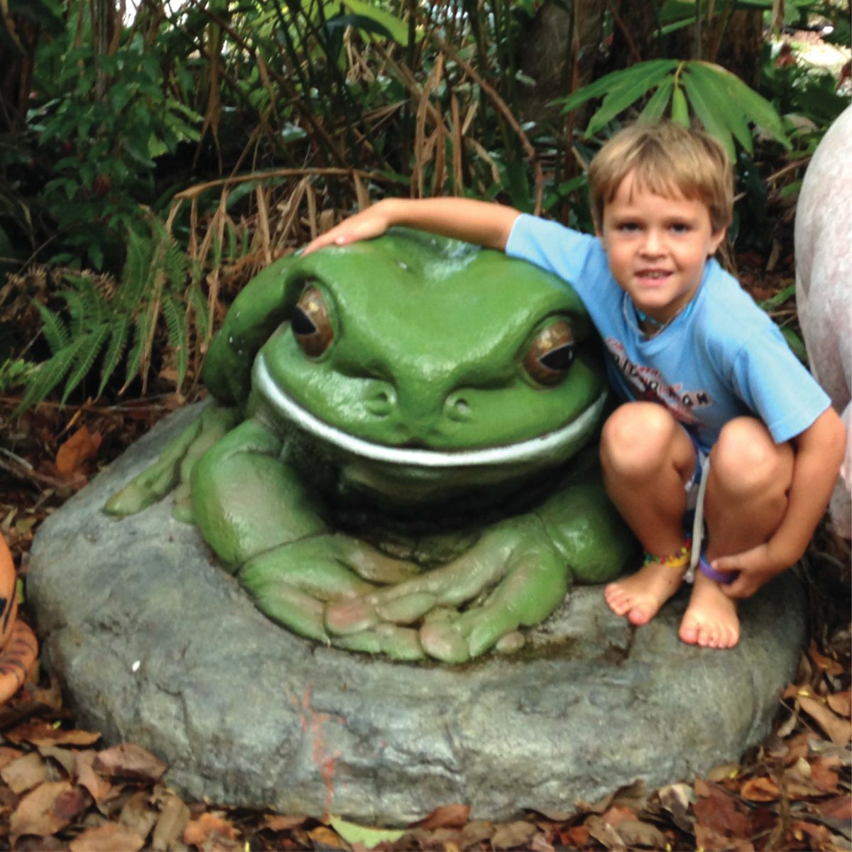 Natureworks Australia Green Tree Frog on Rock – Giant – 190012Rock - shown with little boy