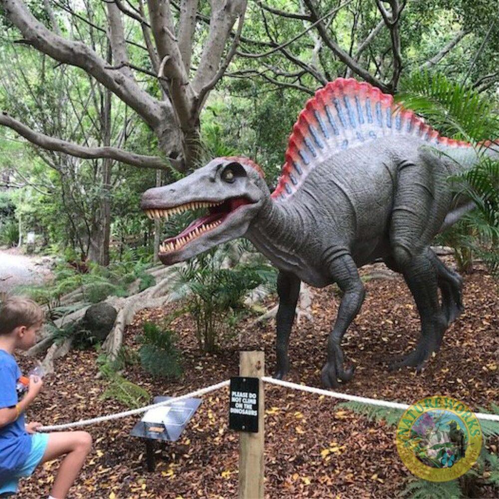 Natureworks Australia Spinosaurus Dinosaur Sculpture - outside ain exibit - Currumbin Sanctuary - 120030