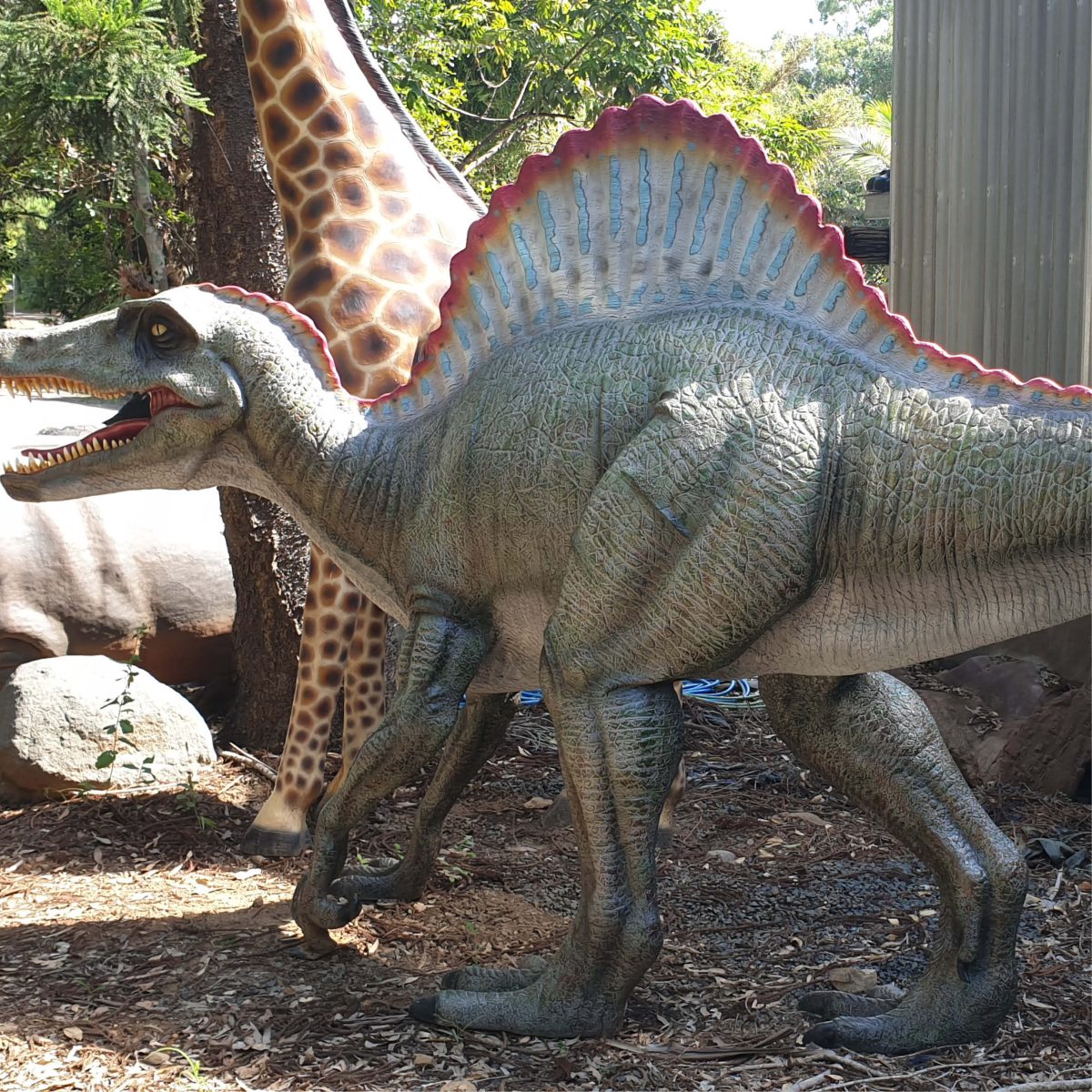 Natureworks Australia Spinosaurus Dinosaur Sculpture - outside at Natureworks studio - 120030