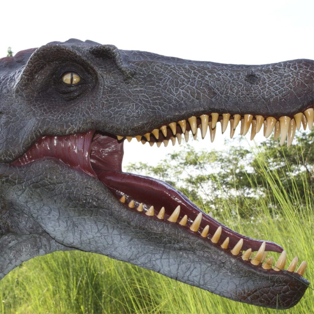 Spinosaurus Dinosaur Sculpture - outside at Natureworks studio - 120030 - close up of head