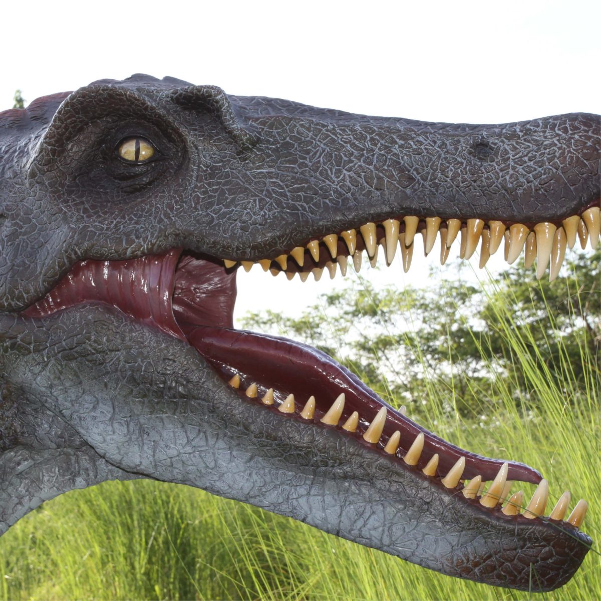 Natureworks Australia Spinosaurus Dinosaur Sculpture - outside at Natureworks studio - 120030 - close up of head