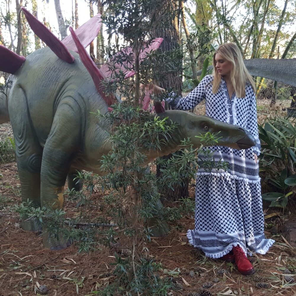 Stegosaurus Dinosaur with model - 100045- outside view