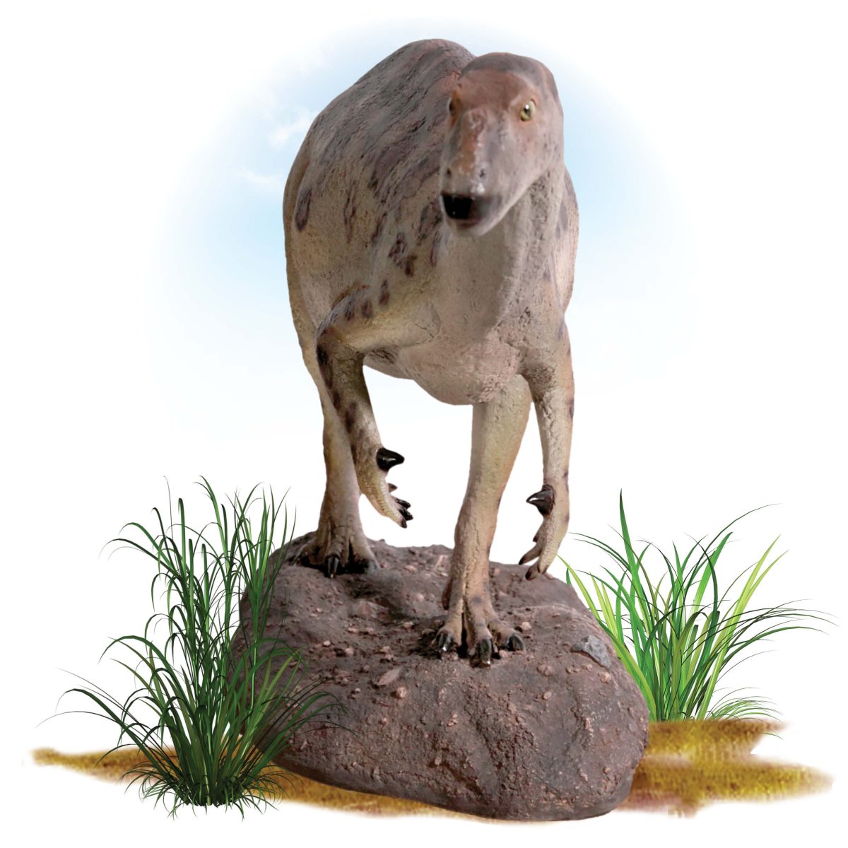 Natureworks Australia Muttaburra dinosaur - Definitiver version, free standing sculpture. - 100091 - showing front view