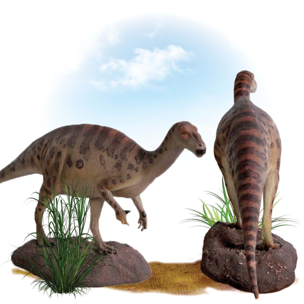 Muttaburra dinosaur - Definitiver version, free standing sculpture. - 100091 - showing side and rear view