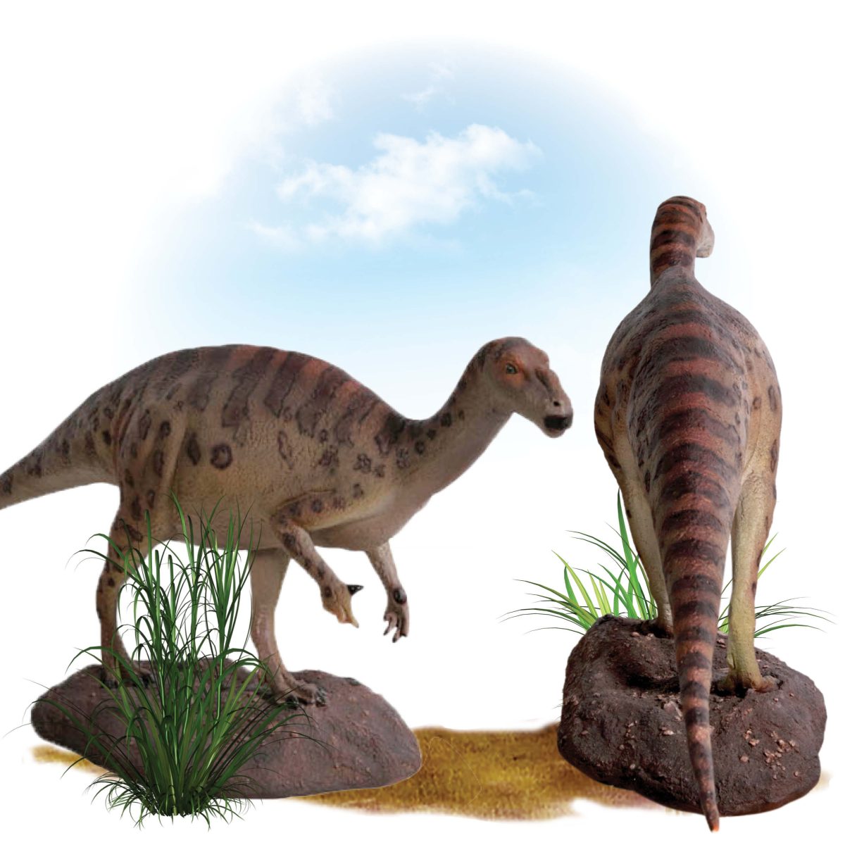 Natureworks Australia Muttaburra dinosaur - Definitiver version, free standing sculpture. - 100091 - showing side and rear view