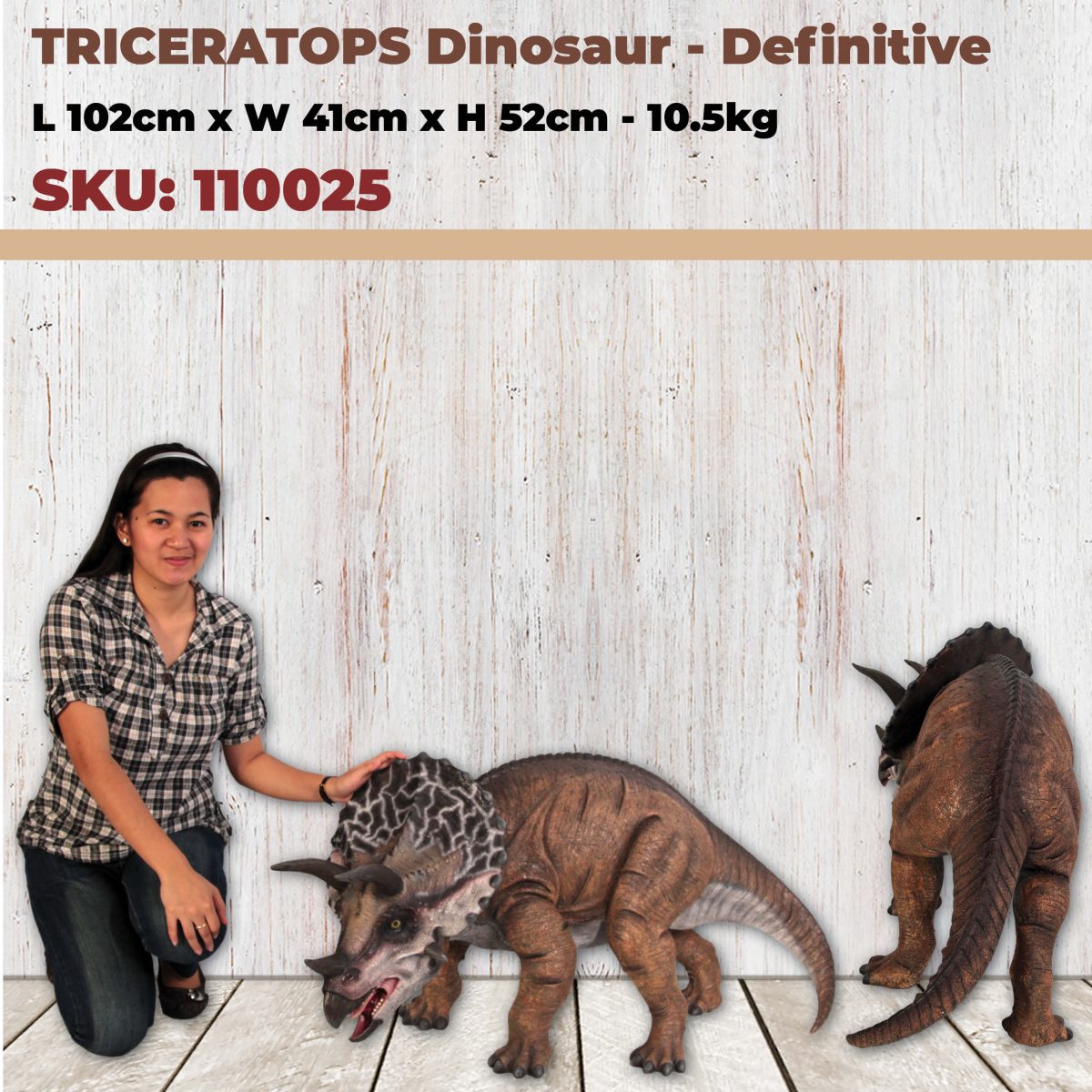 Natureworks Australia Natureworks - Triceratops Dinosaur Definitive -WITH LADY - 110025