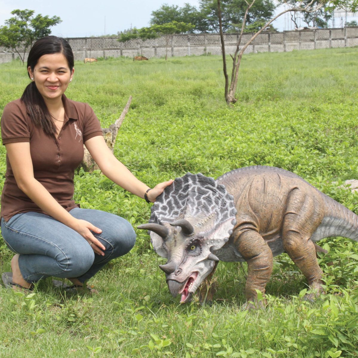 Natureworks Australia Natureworks - Triceratops Dinosaur Definitive -shown with lady outside- 110025