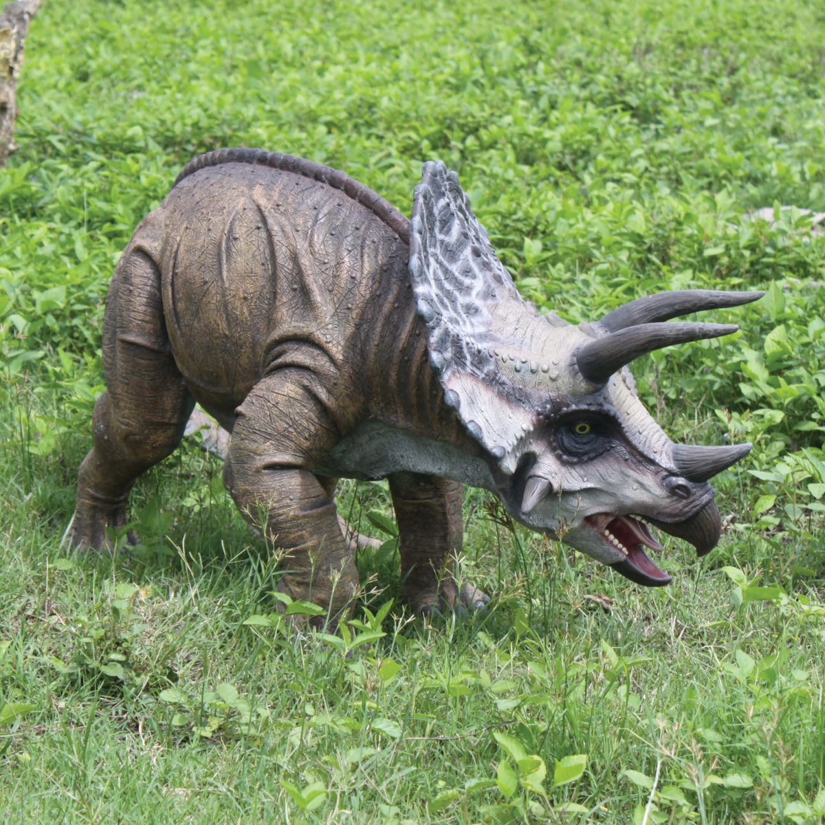 Natureworks Australia Natureworks - Triceratops Dinosaur Definitive -shown outside - 110025