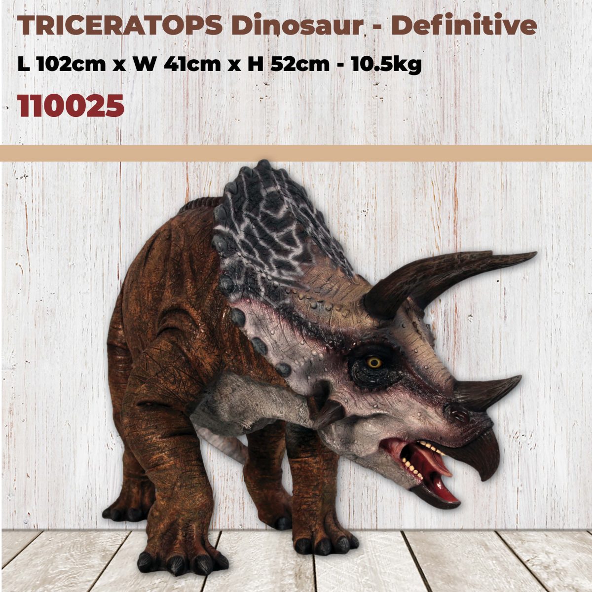 Natureworks Australia Natureworks - Triceratops Dinosaur Definitive -with size and code - 110025
