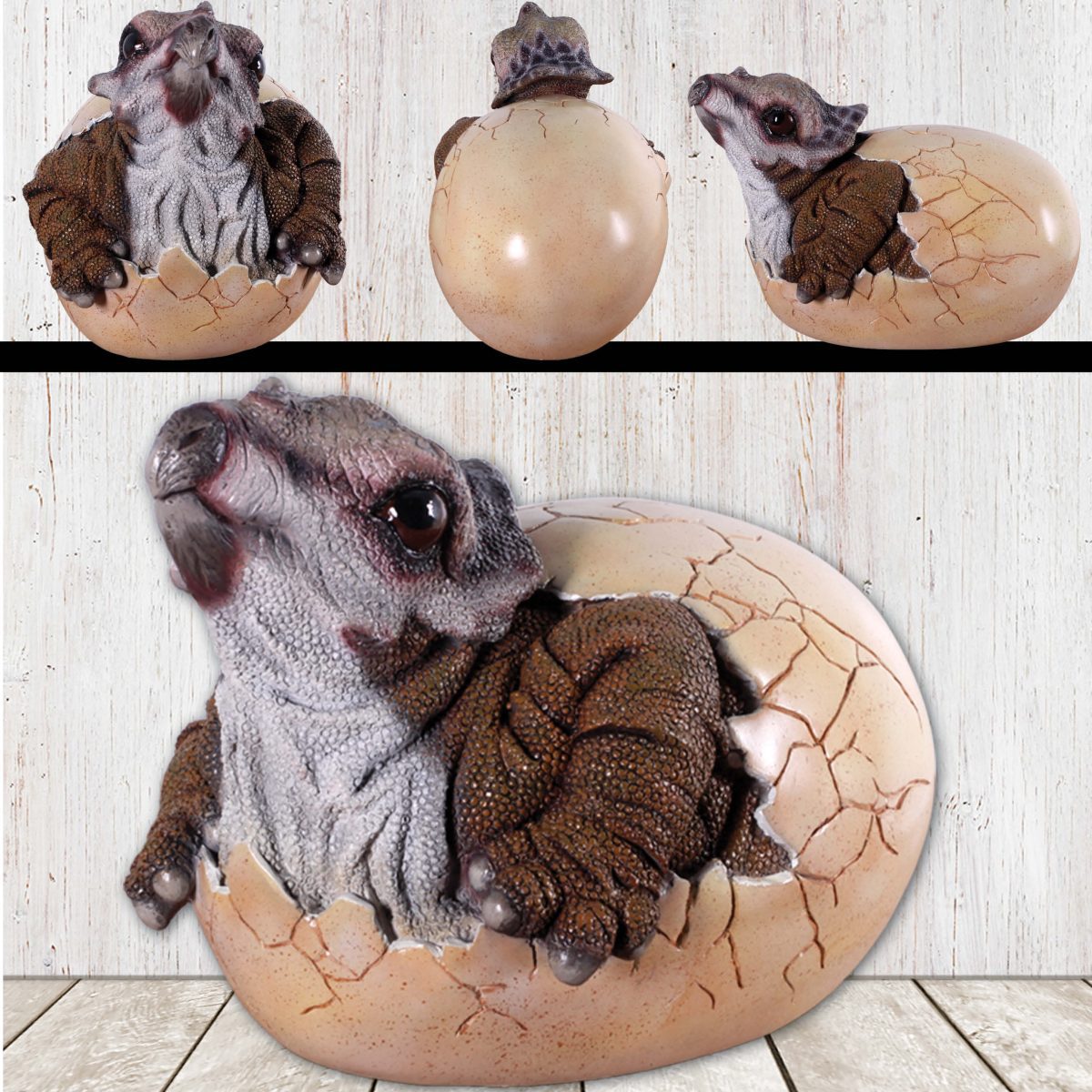 Natureworks Australia Triceratops Baby Hatching - 140035 - very cute