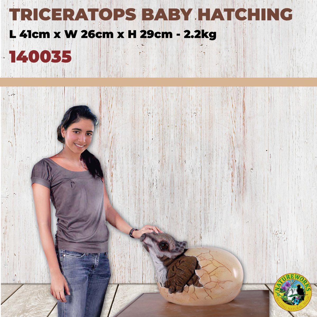 Natureworks Australia Triceratops Baby Hatching - 140035 - very cute - shown with lady to help with size reference