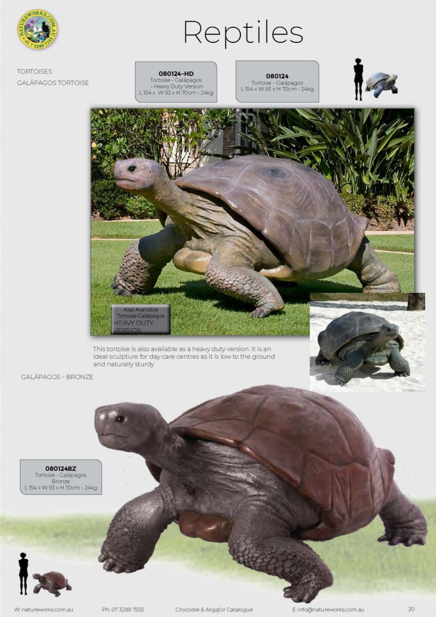 Natureworks Australia Galapagos Tortoise - versions in catalogue - 080124