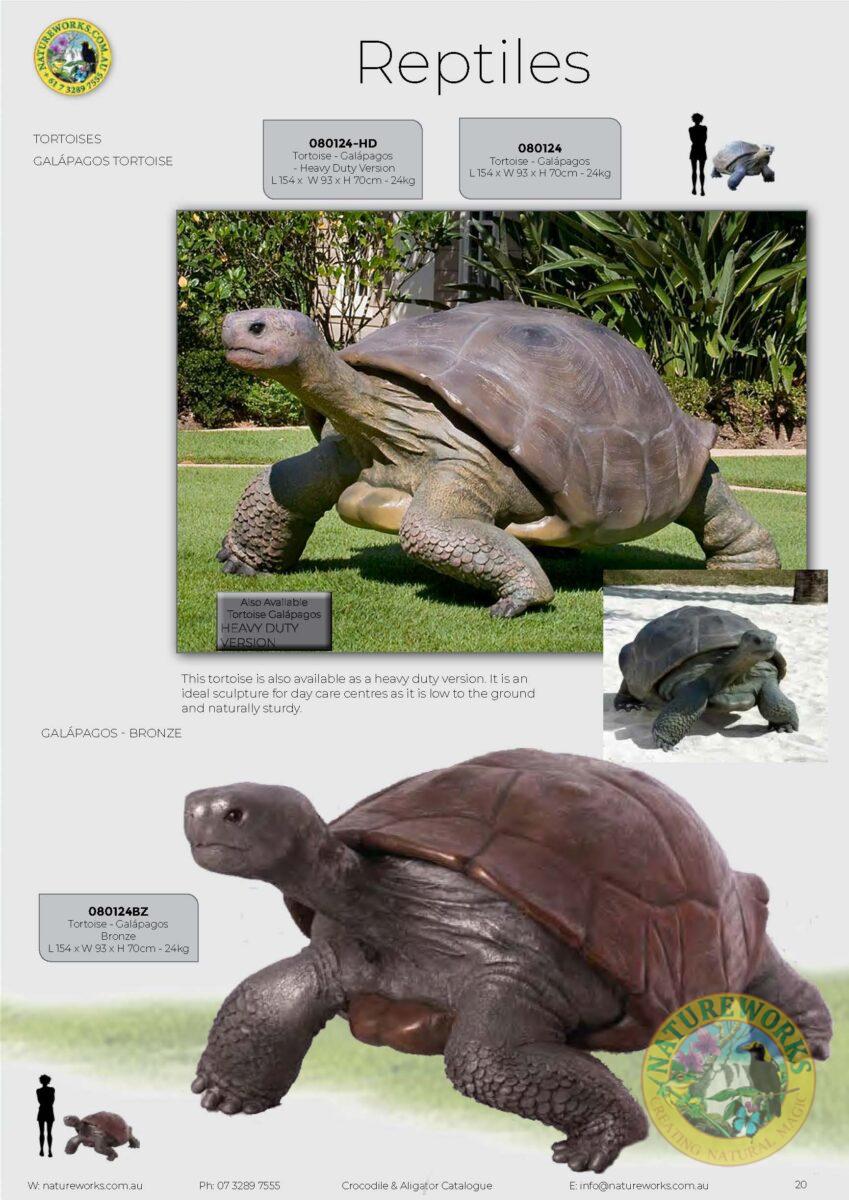 Natureworks Australia Galapagos Tortoise - versions in catalogue - 080124