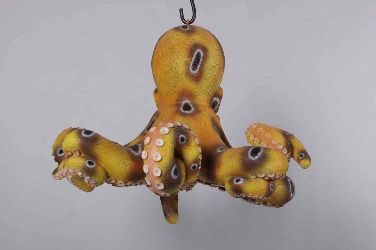 Natureworks Australia Octopus Chandelier hanging