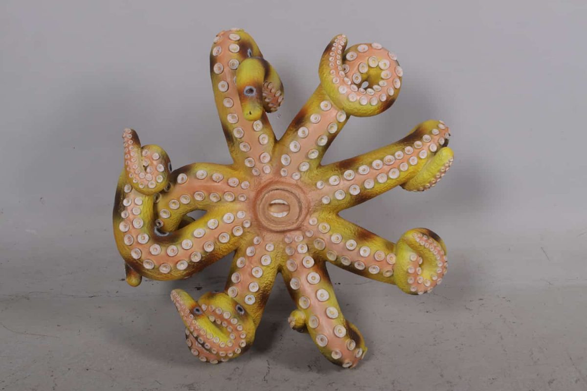 Natureworks Australia Octopus Chandelier hanging
