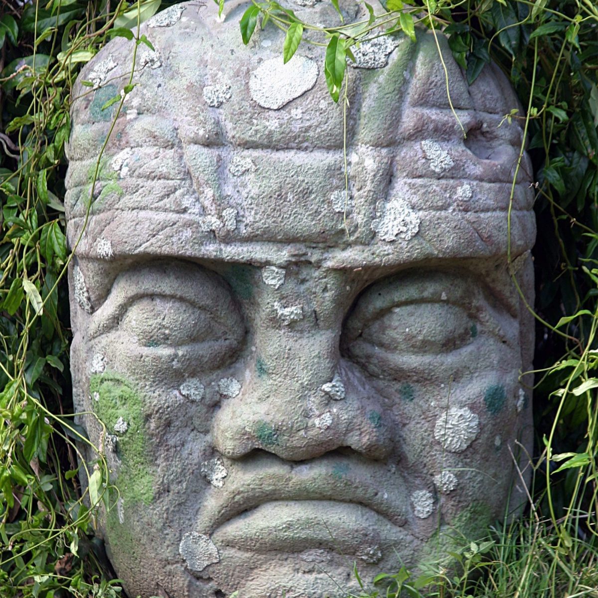Natureworks Australia Olmec Head Small scaled