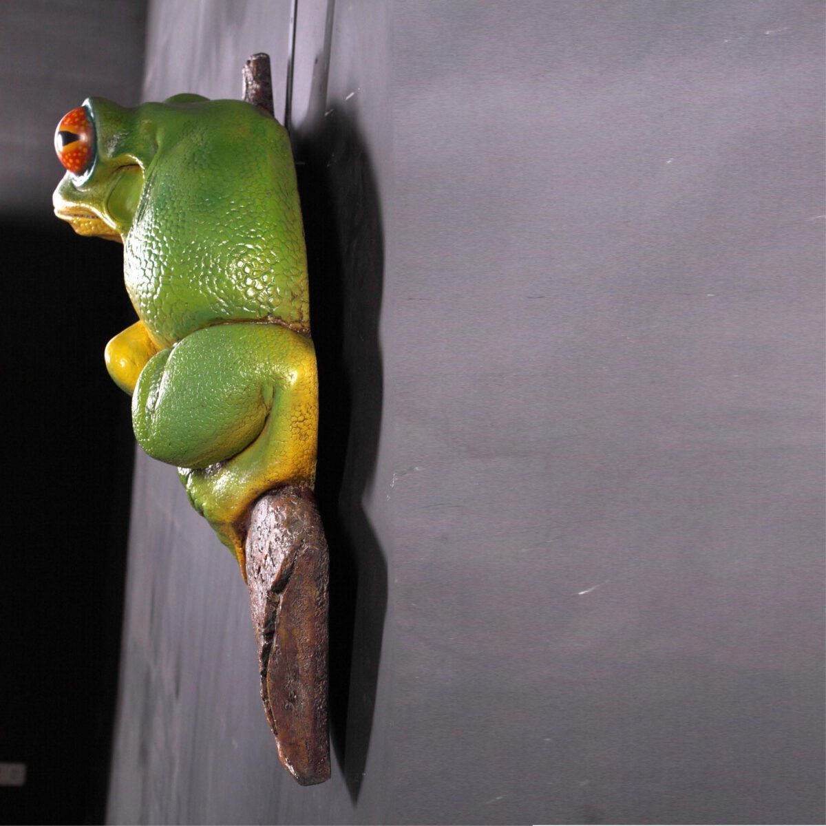 Natureworks Australia Orange Eyed Tree Frog Wall Mount- 020602 - showing rear view hanging on wall - showing depth of statue. - This is Natureworks larger version, smaller version also available