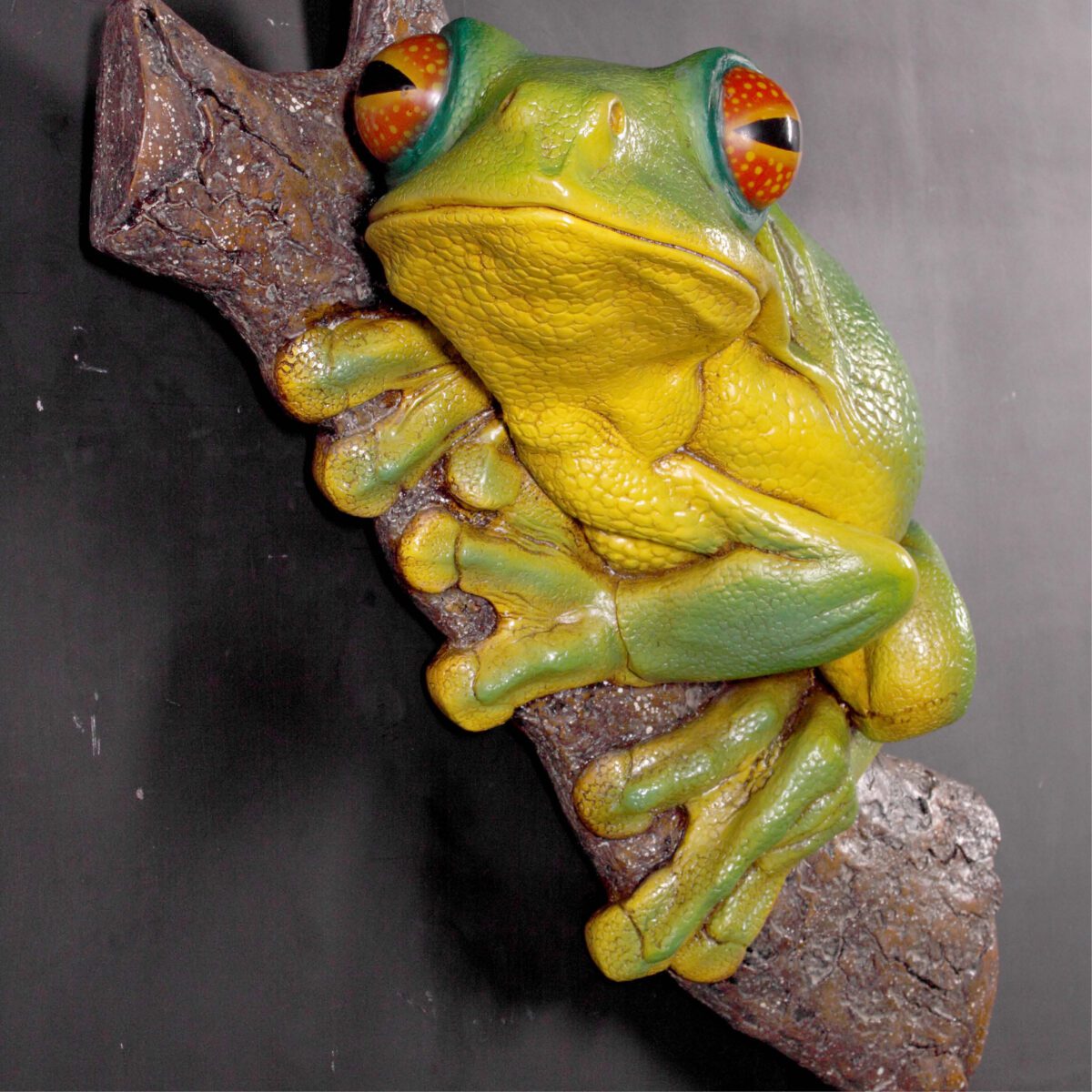 Natureworks Australia Orange Eyed Tree Frog Wall Mount- 020602 - showing front view hanging on wall and sitting on tree log (inclusive of statue)