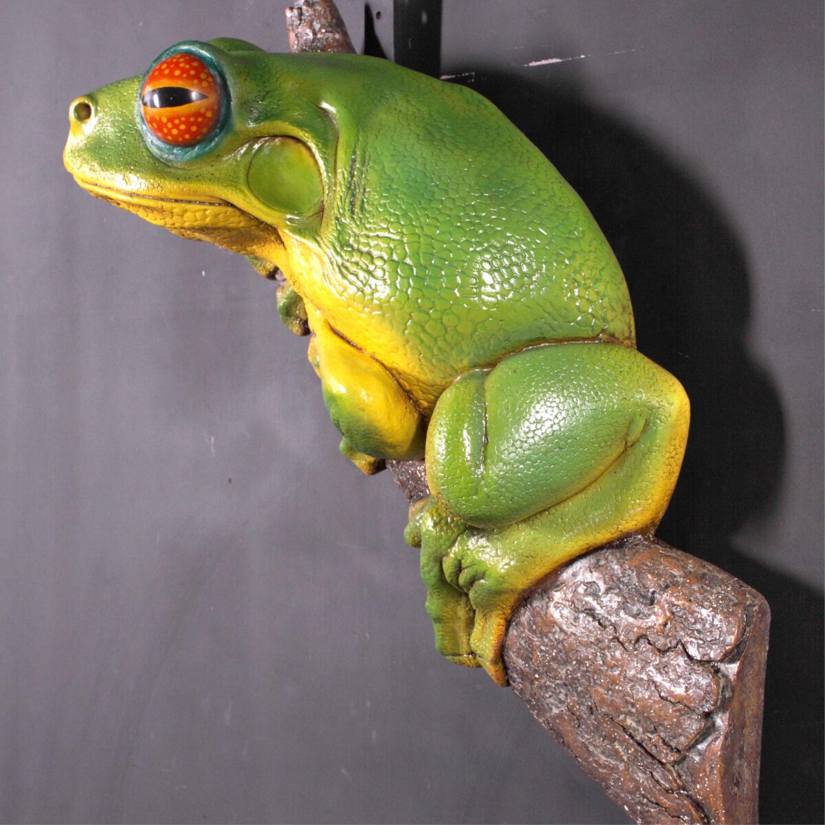 Natureworks Australia Orange Eyed Tree Frog Wall Mount- 020602 - showing rear angle view hanging on wall and sitting on tree log (inclusive of statue)