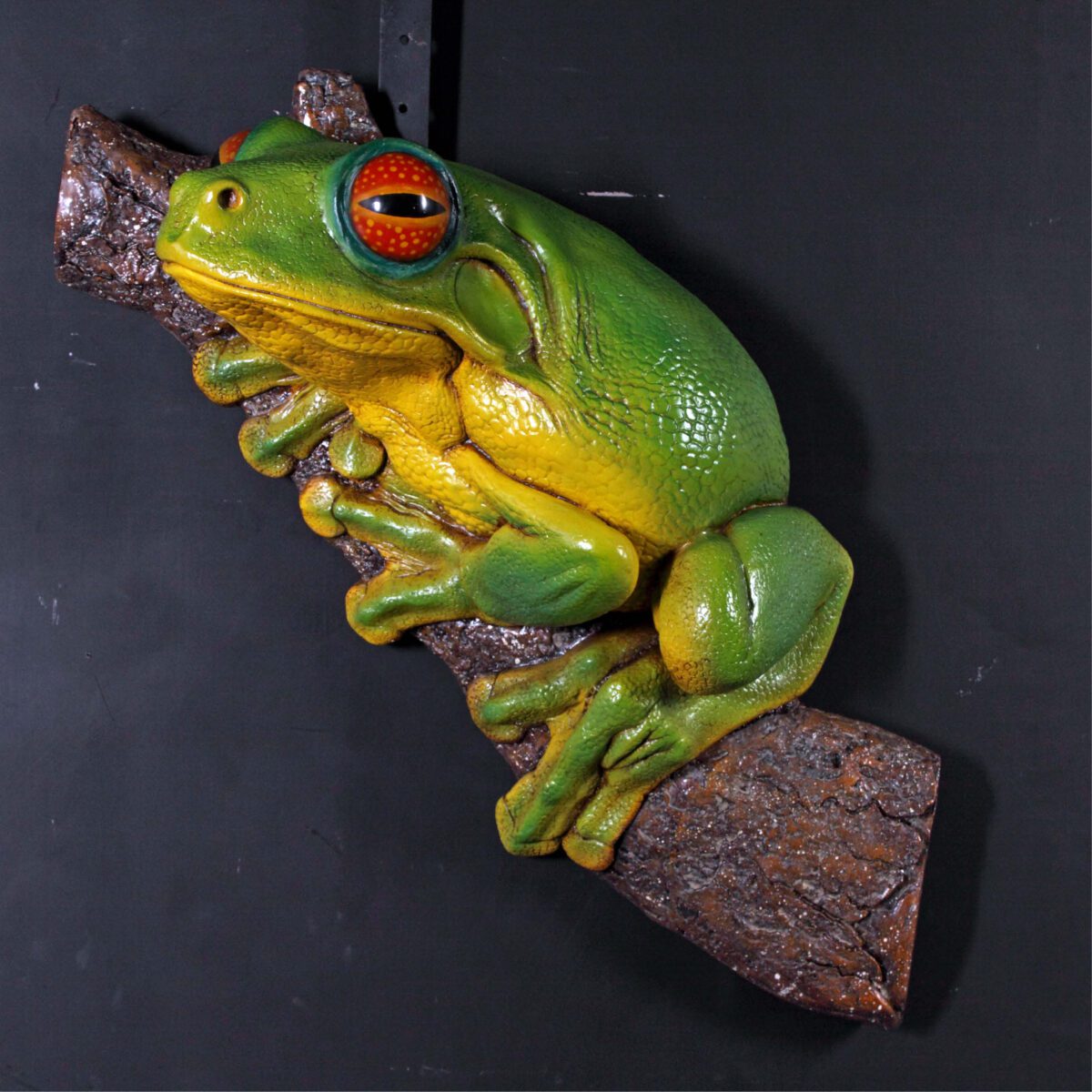 Natureworks Australia Orange Eyed Tree Frog Wall Mount- 020602 - showing angle view hanging on wall and sitting on tree log (inclusive of statue)