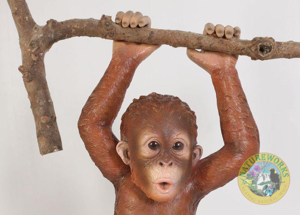 Natureworks Australia Baby Orangutan Hanging - Image 7