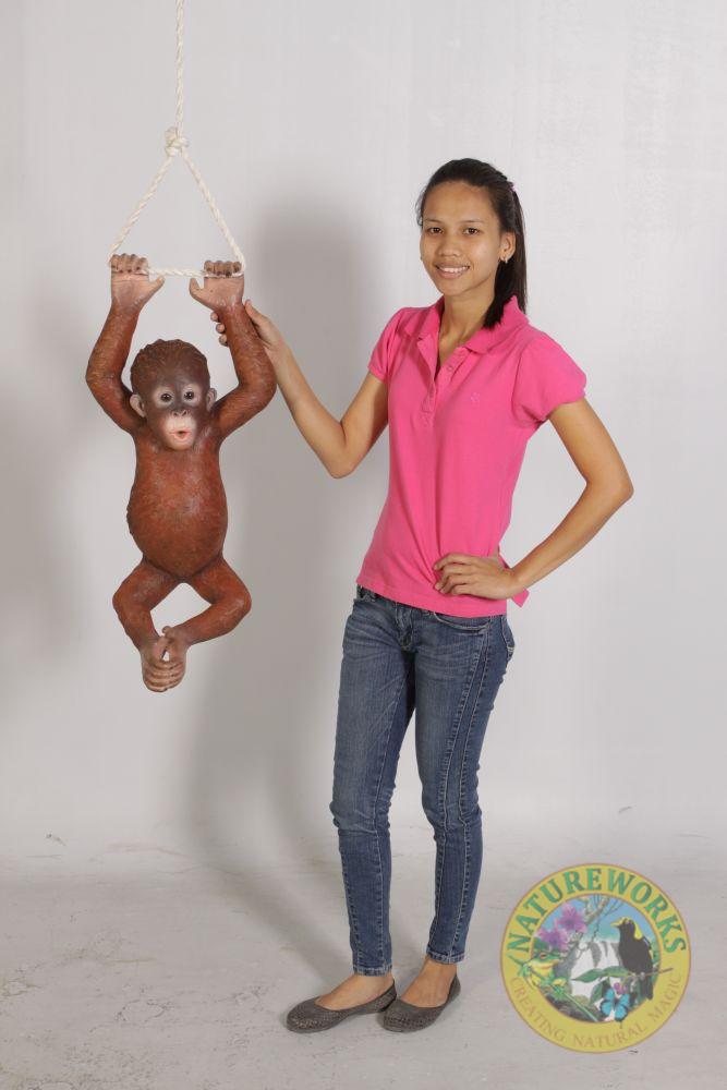 Natureworks Australia Baby Orangutan Hanging - Image 8