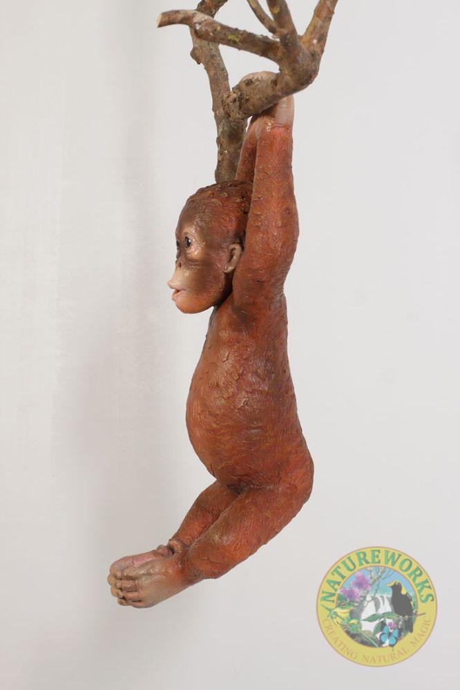 Natureworks Australia Baby Orangutan Hanging - Image 2