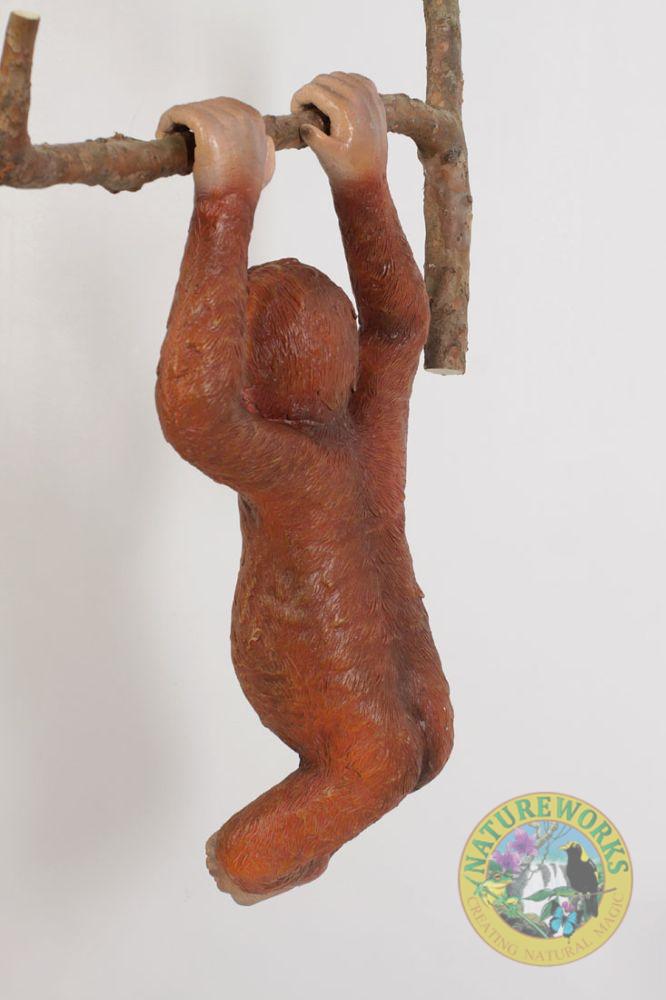 Natureworks Australia Baby Orangutan Hanging - Image 3