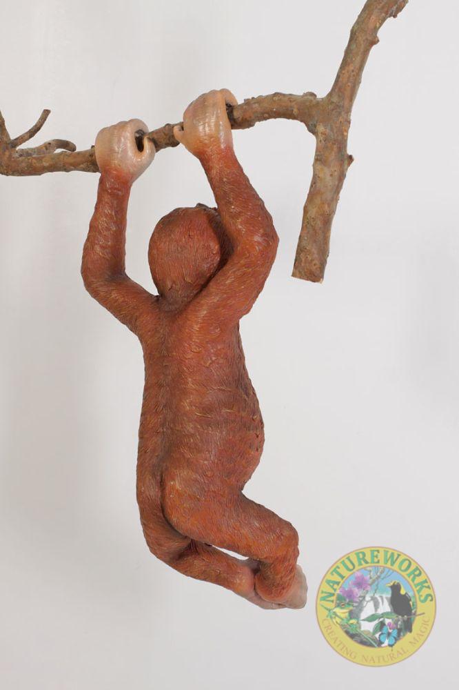 Natureworks Australia Baby Orangutan Hanging - Image 5