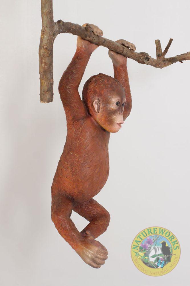 Natureworks Australia Baby Orangutan Hanging - Image 6