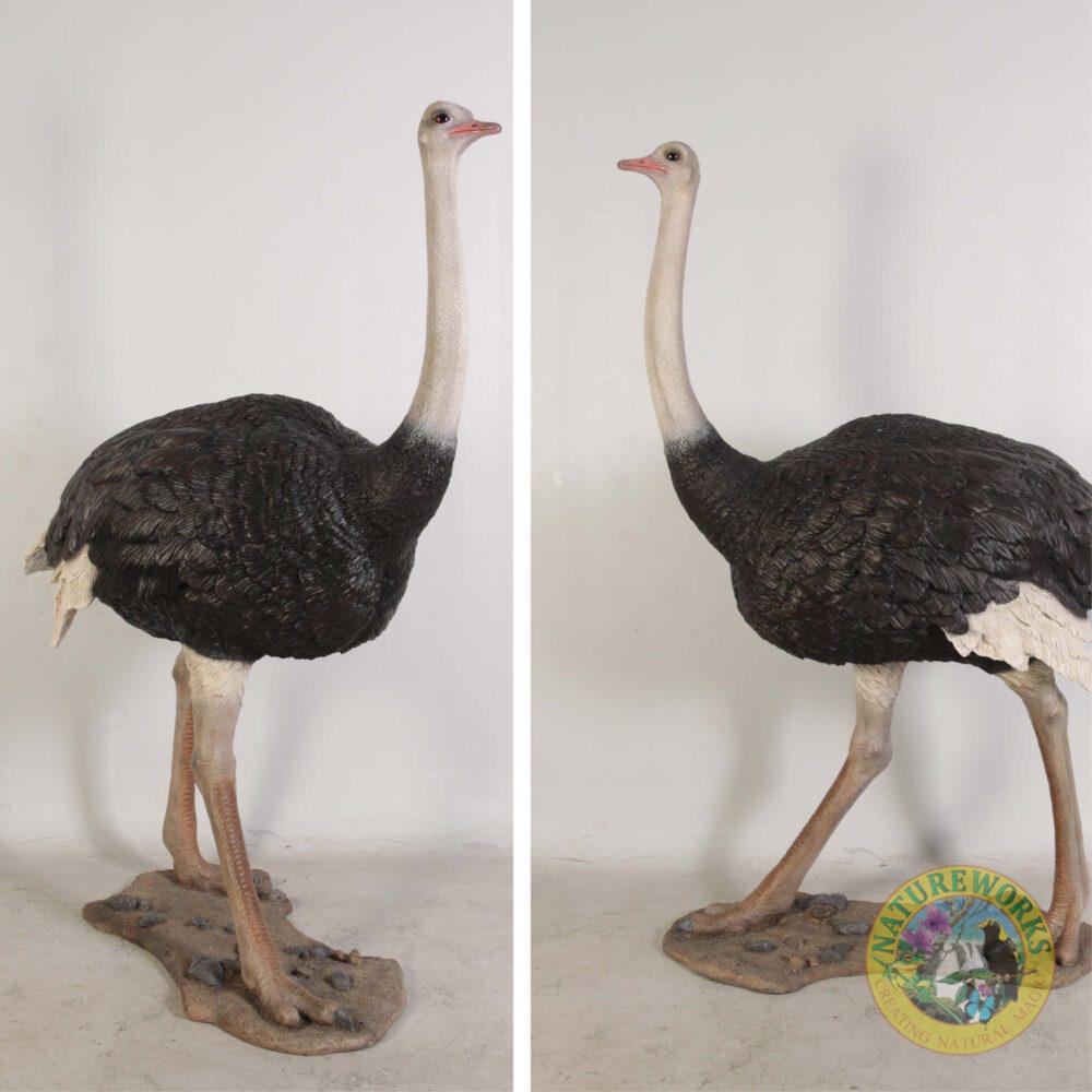 Natureworks Australia Ostrich Bird statue - beautiful life-size replica for sale - sku - 130003- showing angle and side view