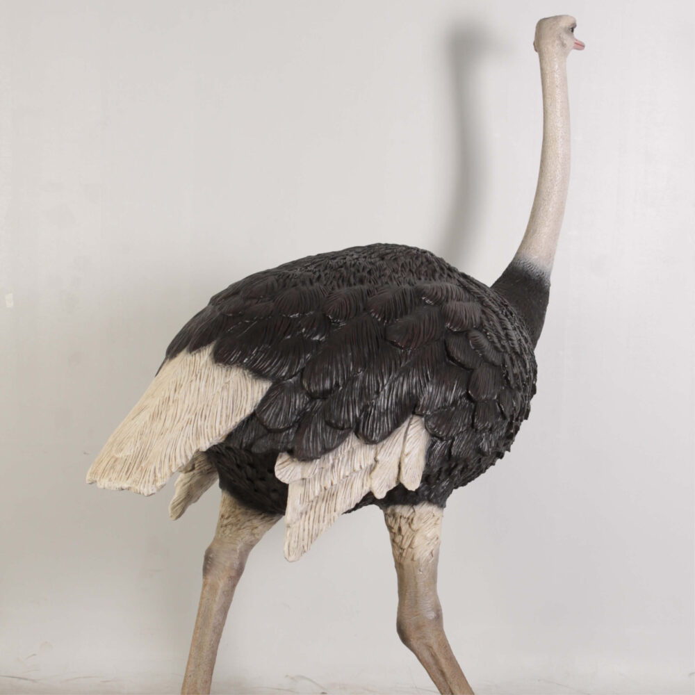 Ostrich Bird statue - beautiful life-size replica for sale - sku - 130003- showing rear angle view - close up
