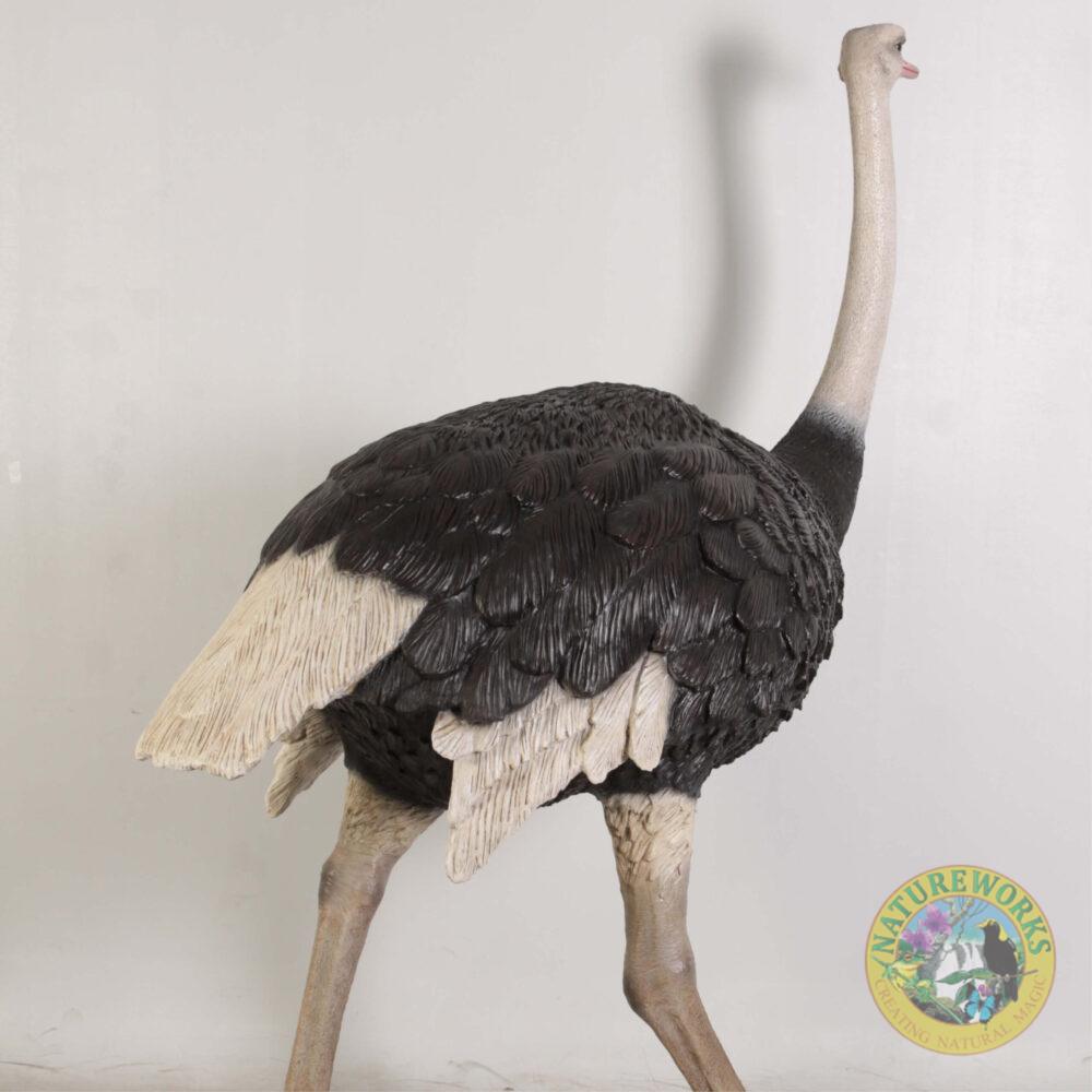 Natureworks Australia Ostrich Bird statue - beautiful life-size replica for sale - sku - 130003- showing rear angle view - close up