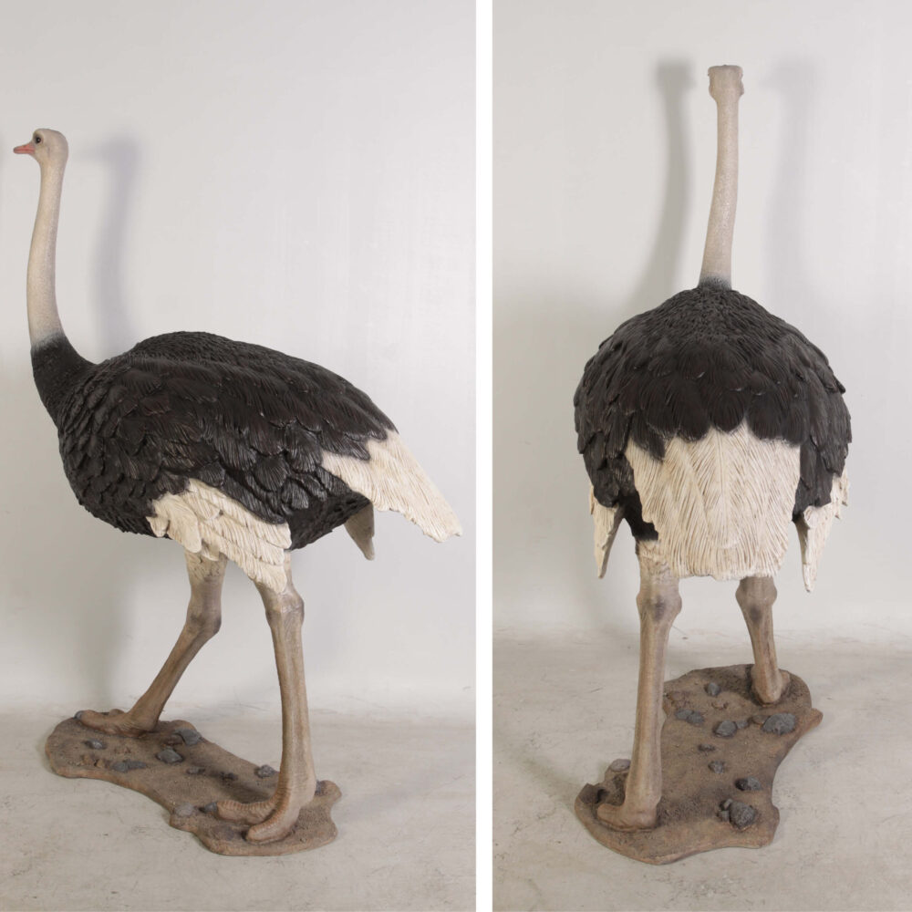 Ostrich Bird statue - beautiful life-size replica for sale - sku - 130003- showing rear views - and base detail