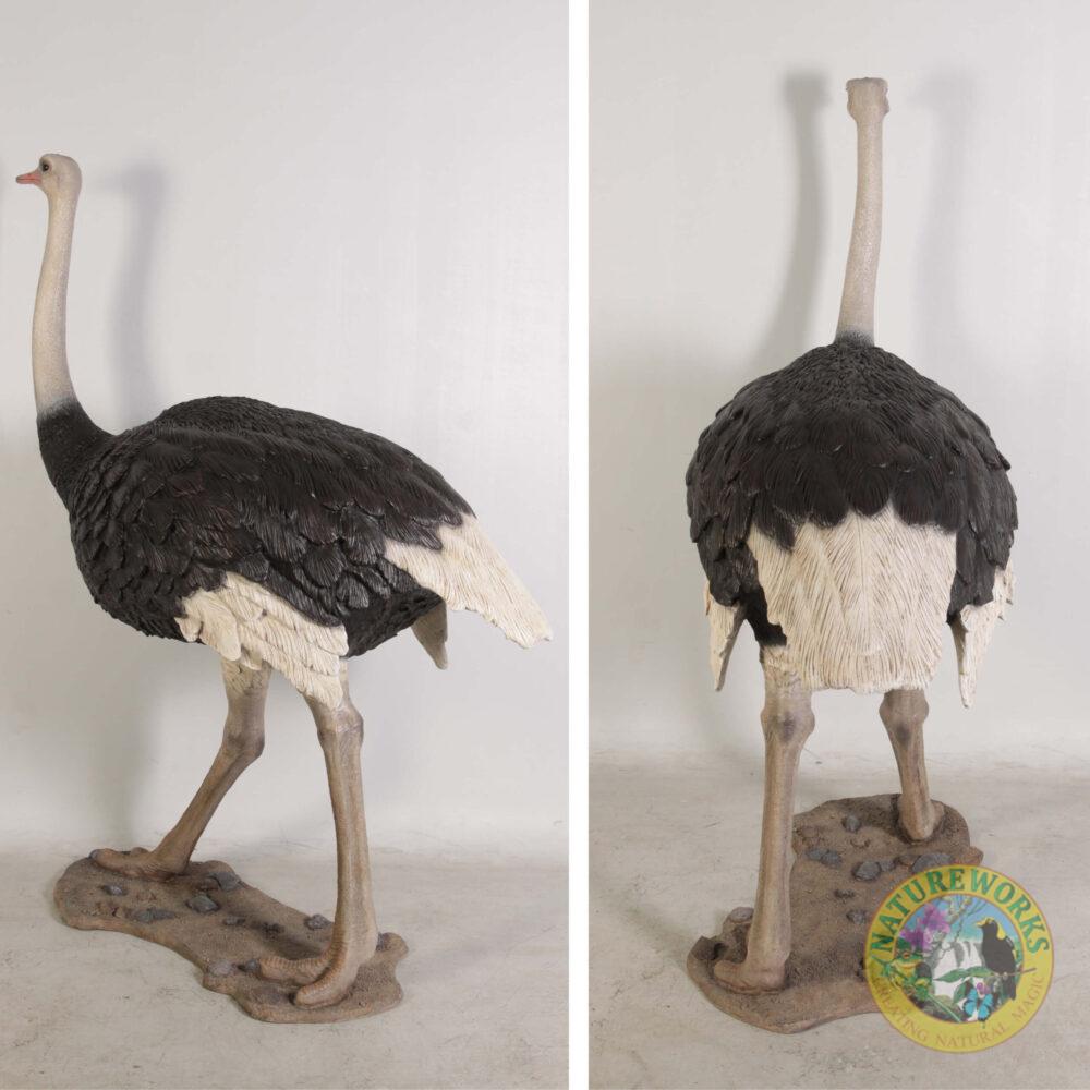 Natureworks Australia Ostrich Bird statue - beautiful life-size replica for sale - sku - 130003- showing rear views - and base detail